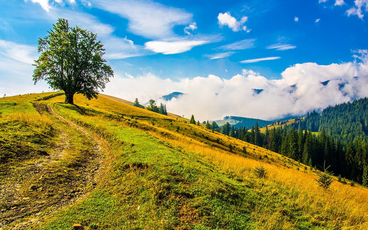 Готуємось до літнього відпочинку в Карпатах Літній відпочинок в Карпатах