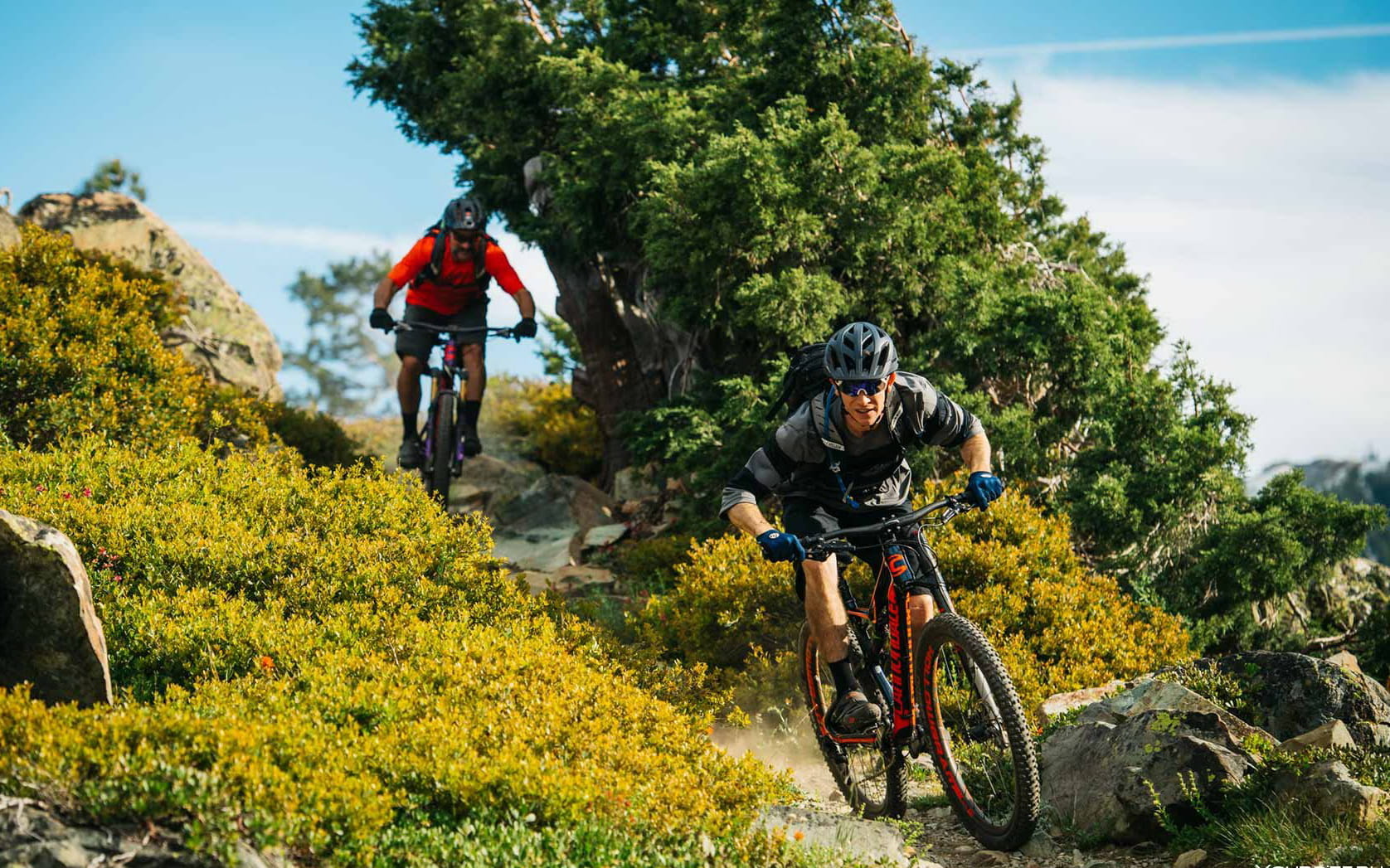 Горные велосипед - залог идеального велопутешествия Карпатами Почувствуй свободу Карпат на горном велосипеде