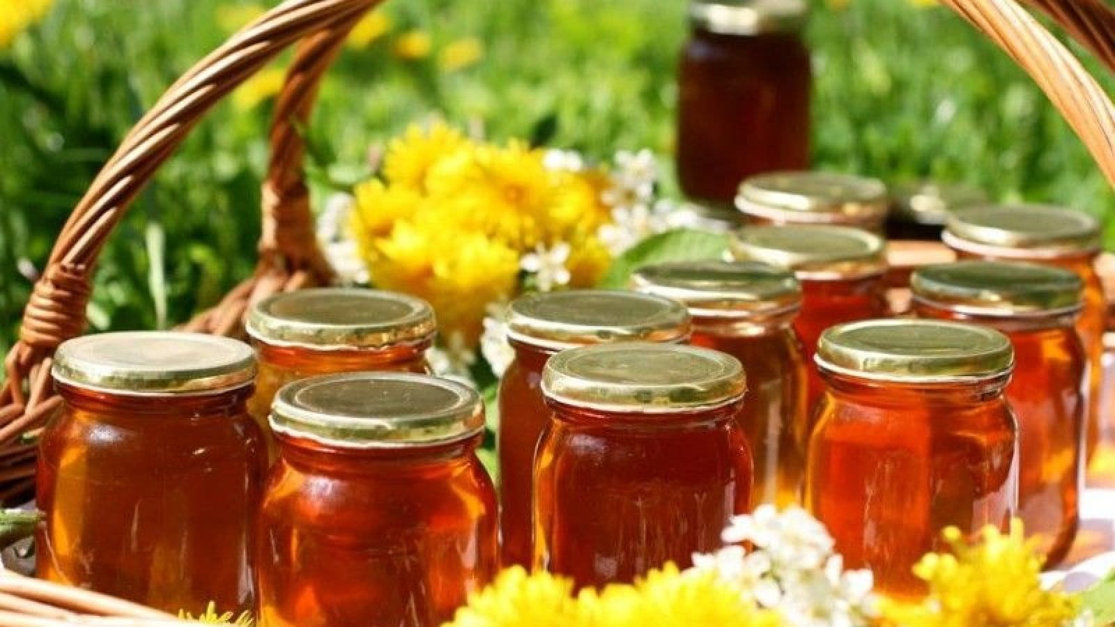 Карпатський мед - справжня насолода Карпатський мед