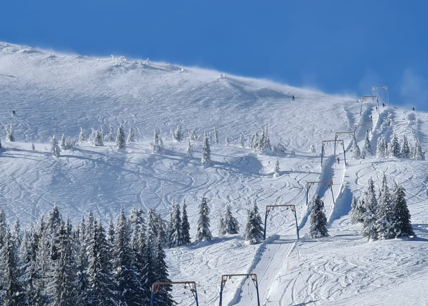 Отдых на Драгобрате зимой Зимний отдых на Драгобрате