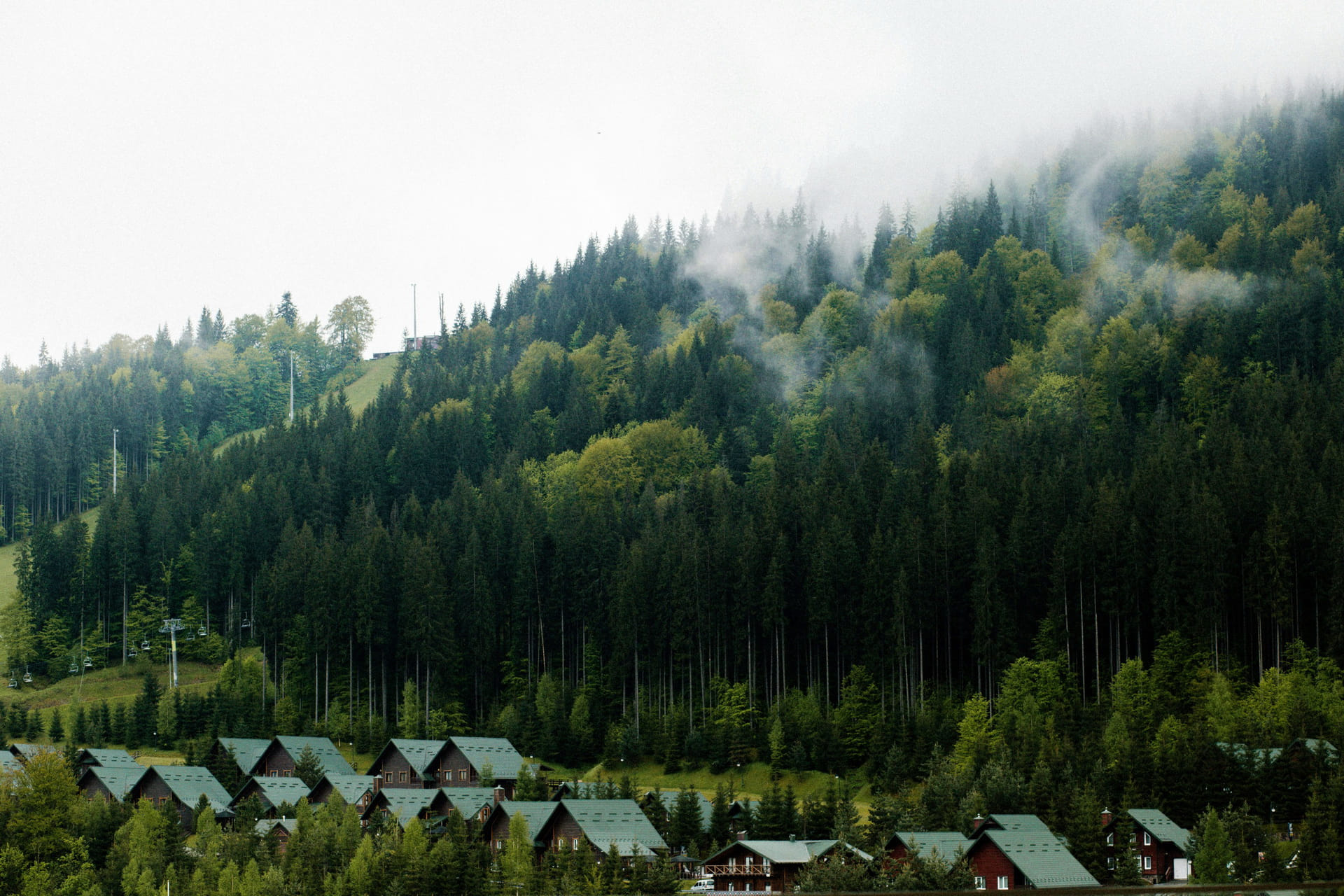 Карпати зачаровують!